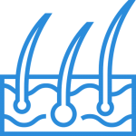 Покровная система